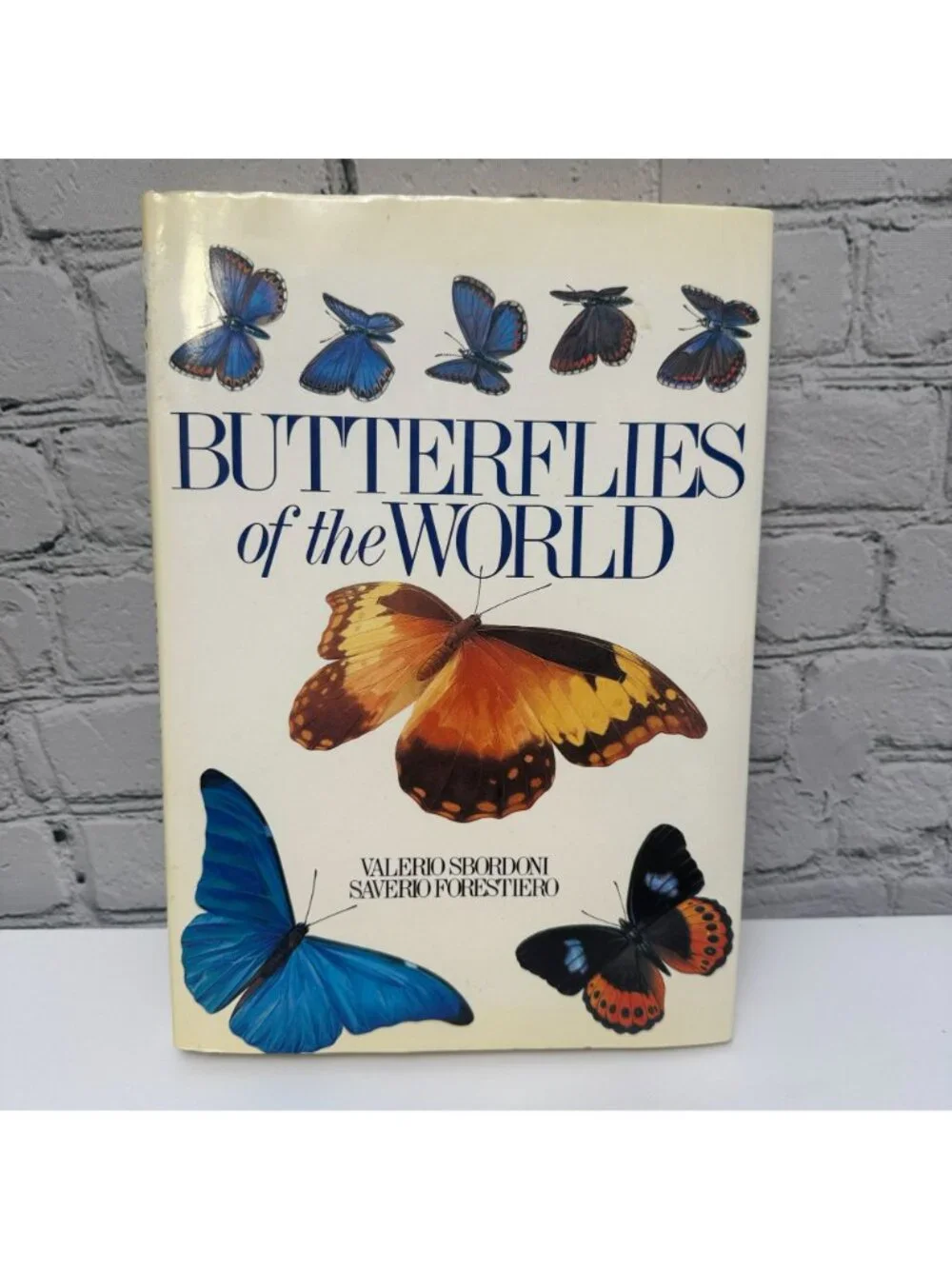 Butterflies of the World Coffee Table Book 1988 Illustrated Hardcover